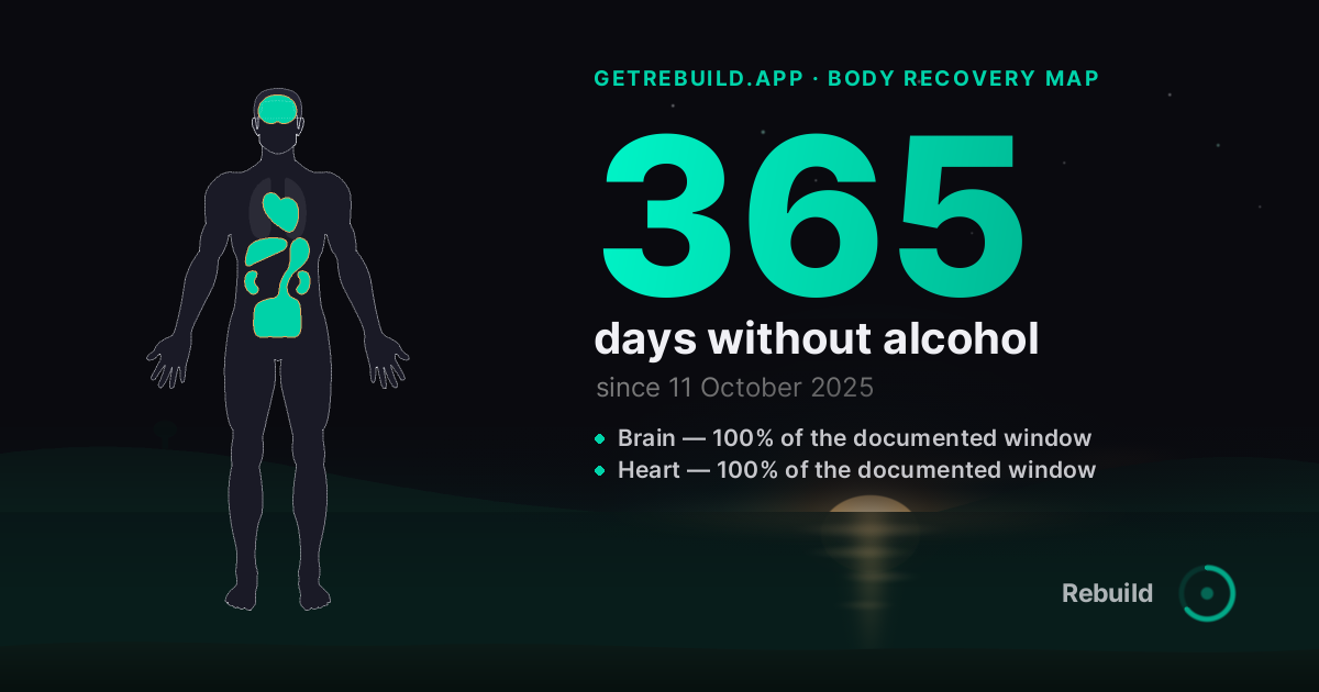 The body recovery map at day 365, drawn on Rebuild's share card