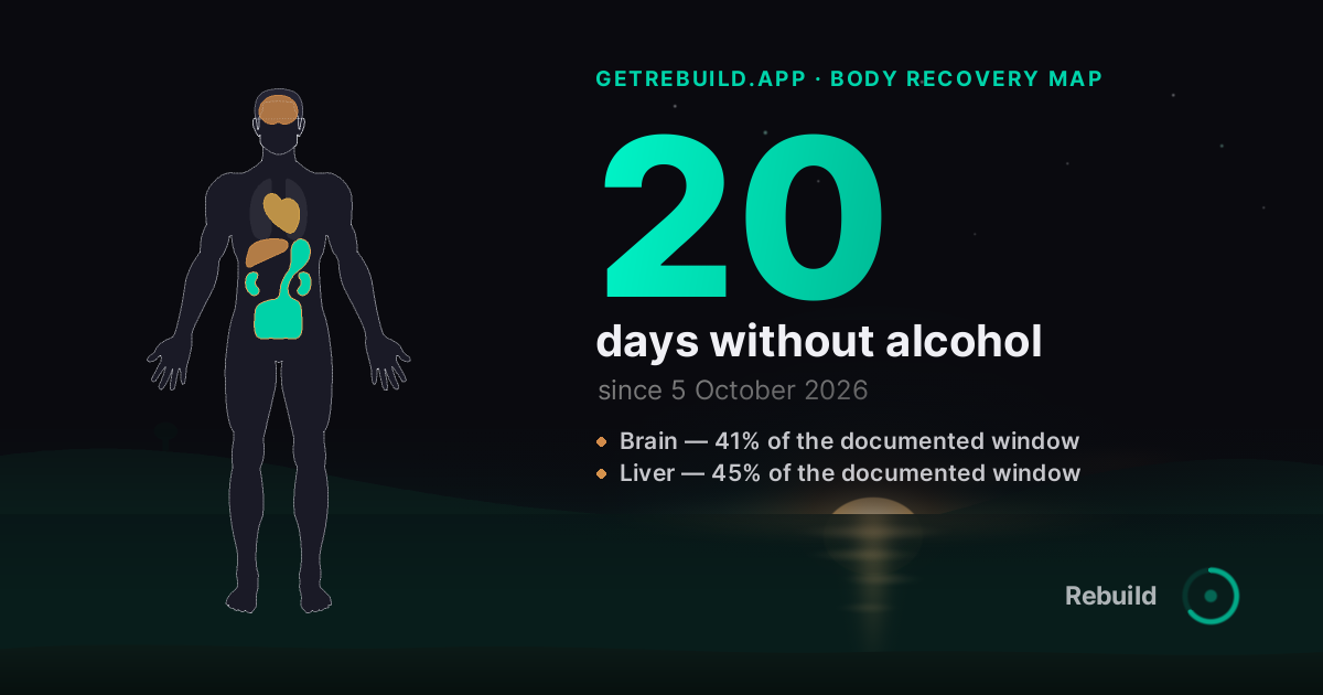 The body recovery map at day 0, drawn on Rebuild's share card