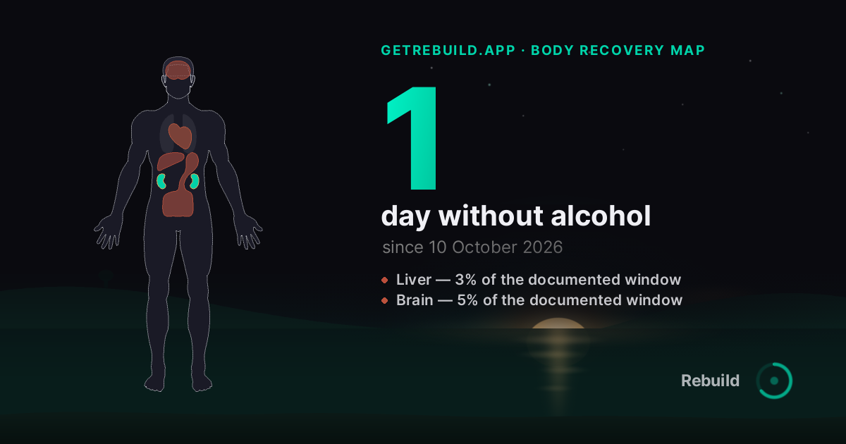 The body recovery map at day 1, drawn on Rebuild's share card
